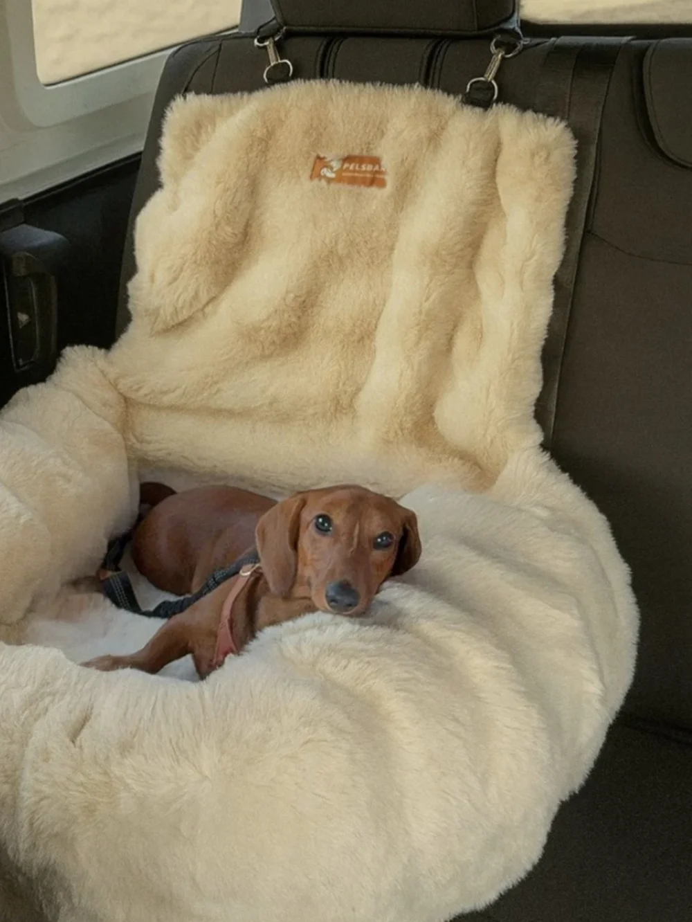 Plush Faux Fur Throw Blanket - Cream